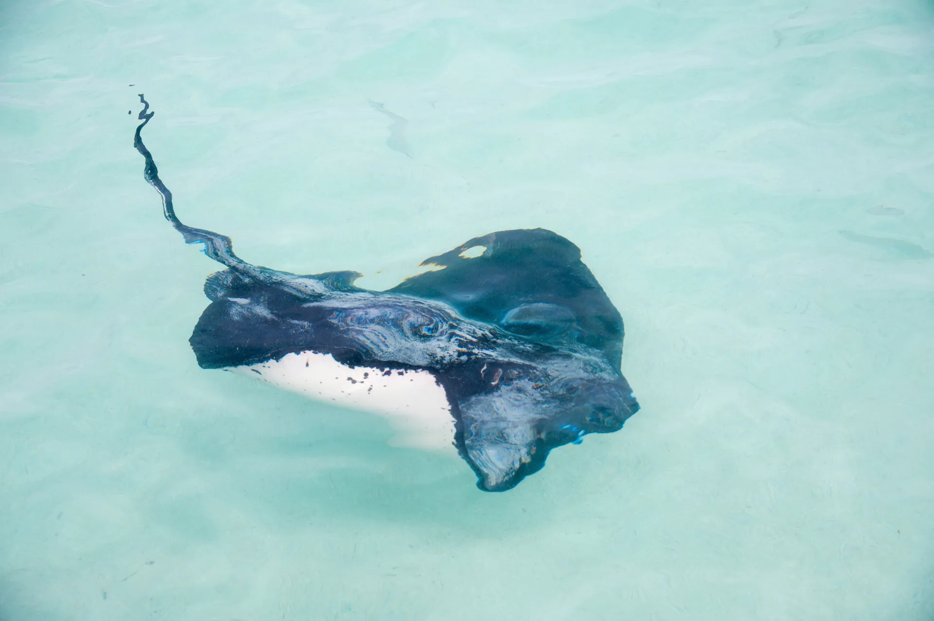 尊重我們造訪的地方:MSC Protectours 3