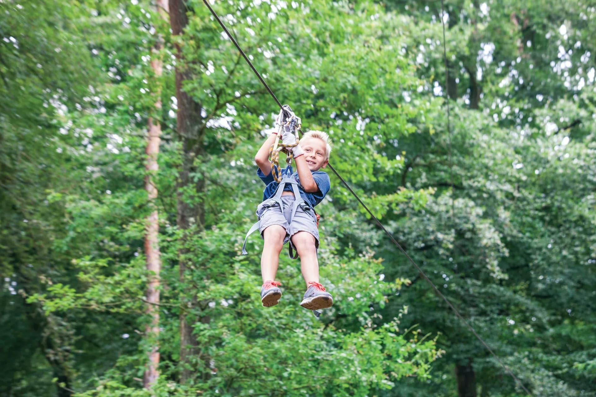 Generations Collection 世代收藏 1