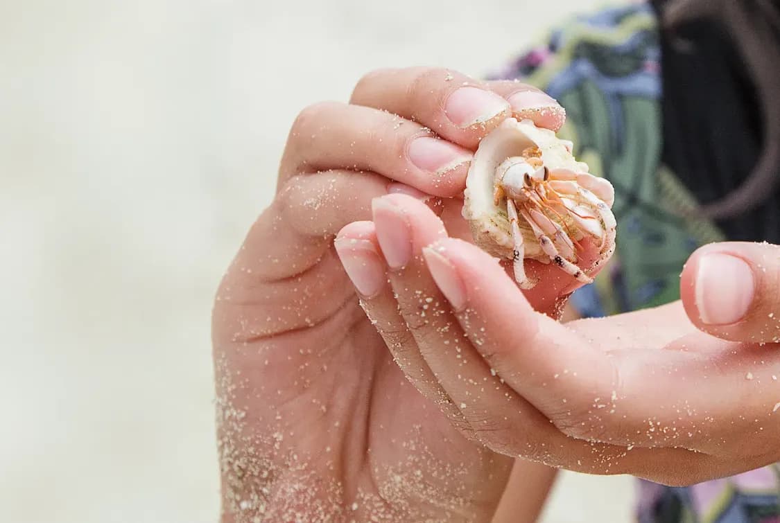 Moana 探索計劃 6