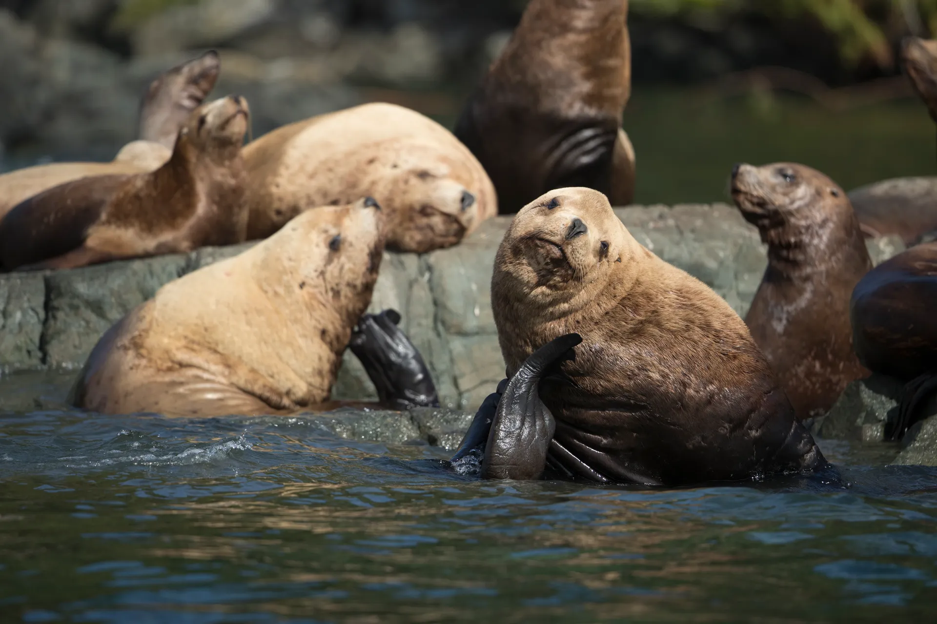 Shore Experiences By Seabourn 陸上體驗 8