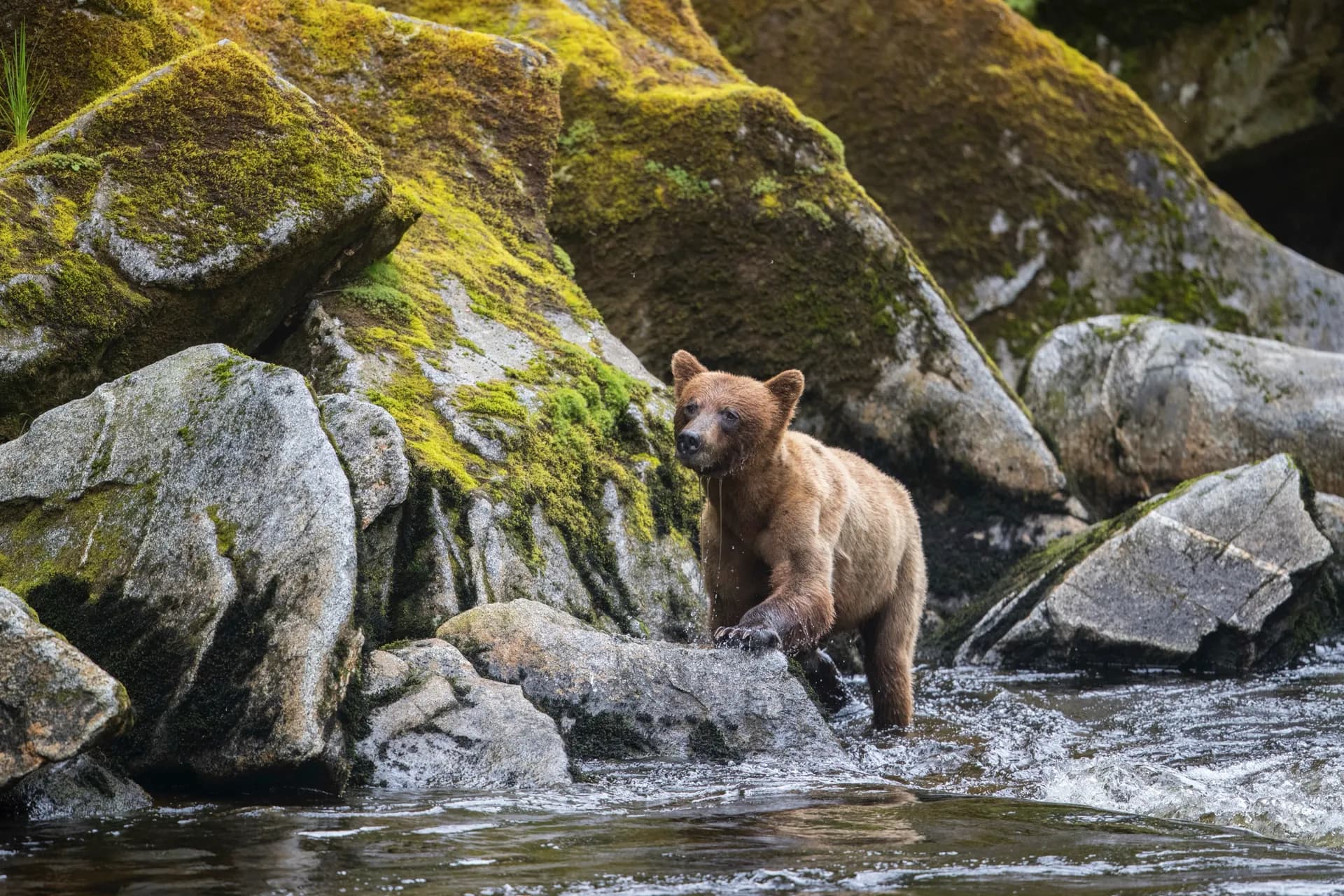 Shore Experiences By Seabourn 陸上體驗 10