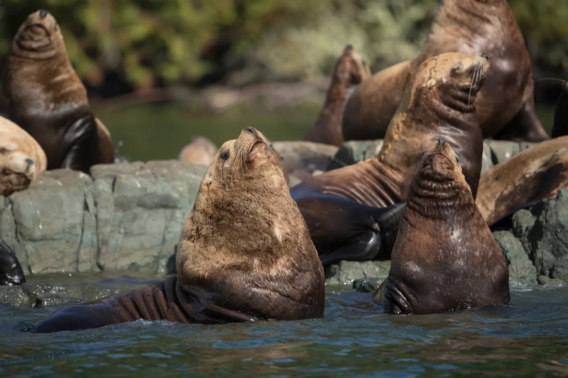 Shore Experiences By Seabourn 陸上體驗 3