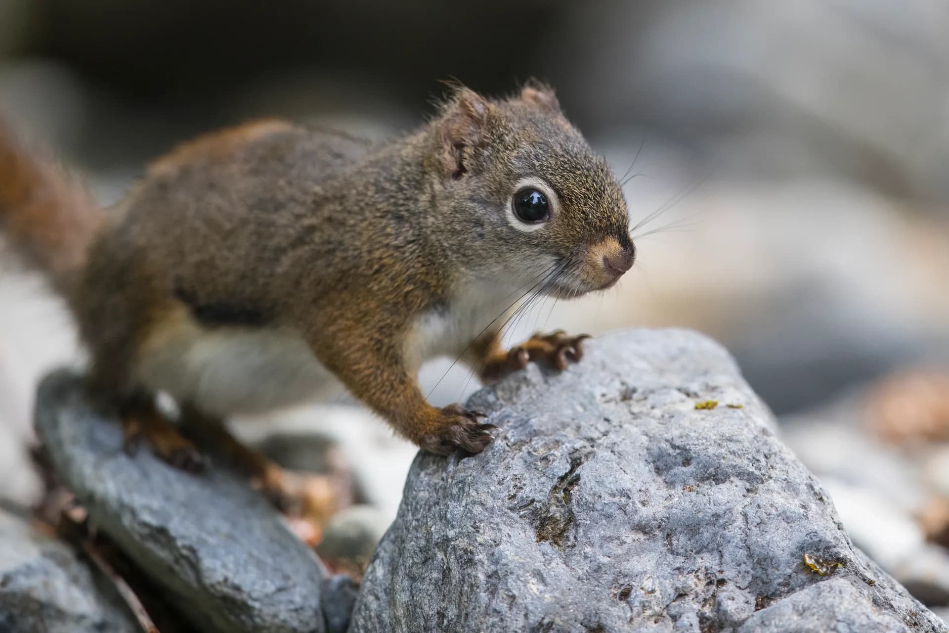 Shore Experiences By Seabourn 陸上體驗 6