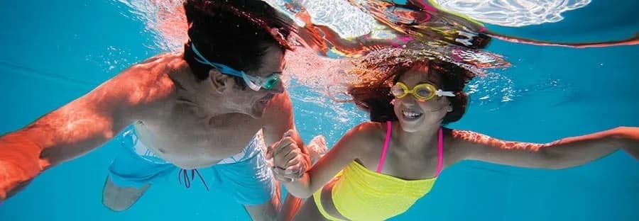 諾唯真逍遙號 24