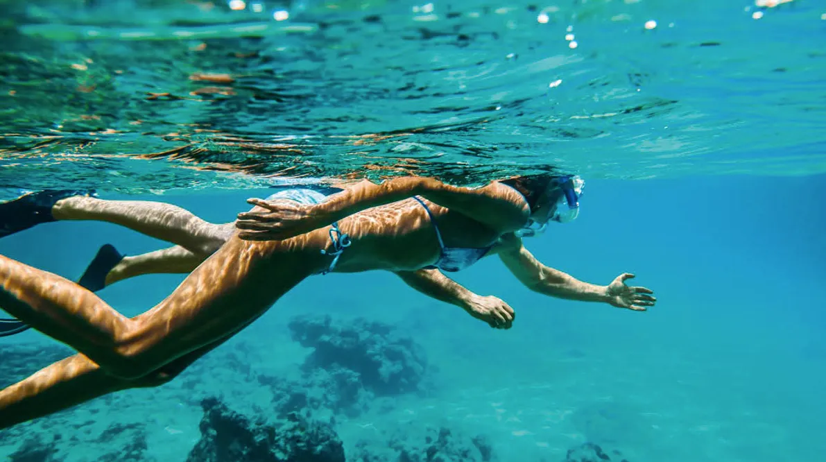 Organised Shore Activities