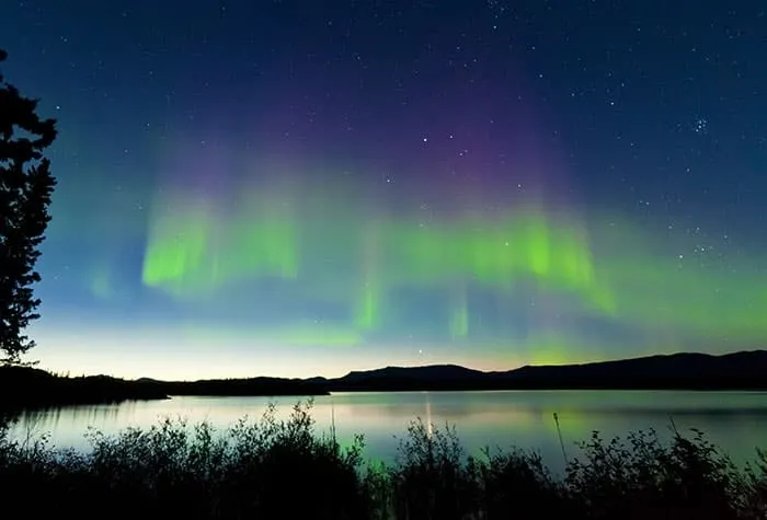 諾唯真暢悅號 30