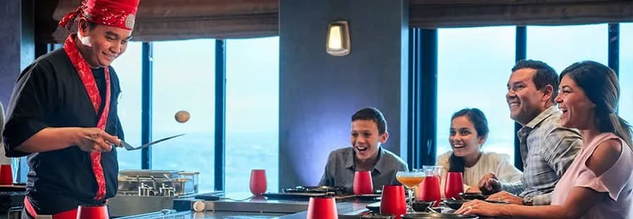 諾唯真暢悅號 28