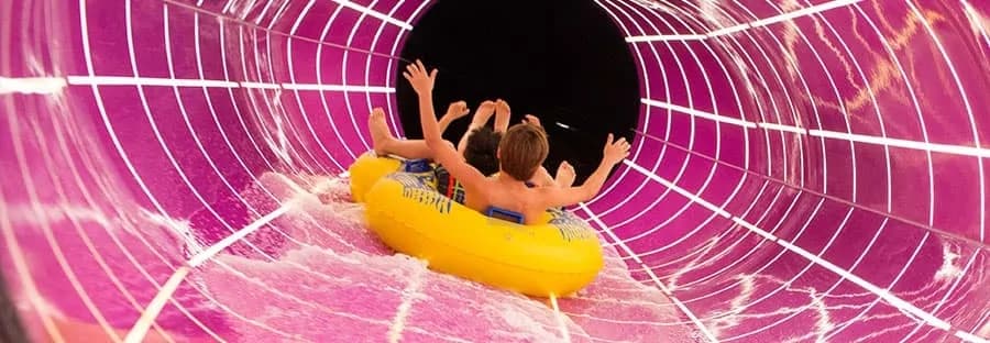 諾唯真暢悅號 26