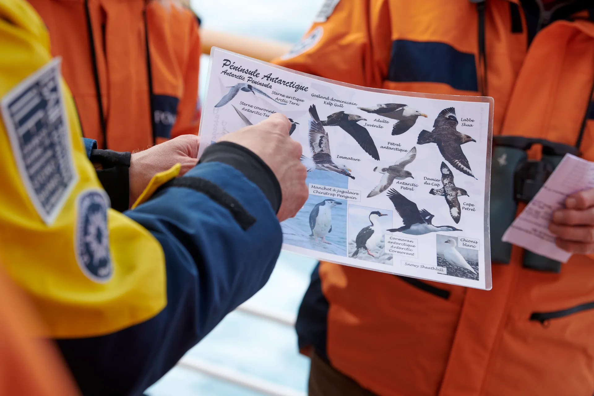 極地深度探索 3