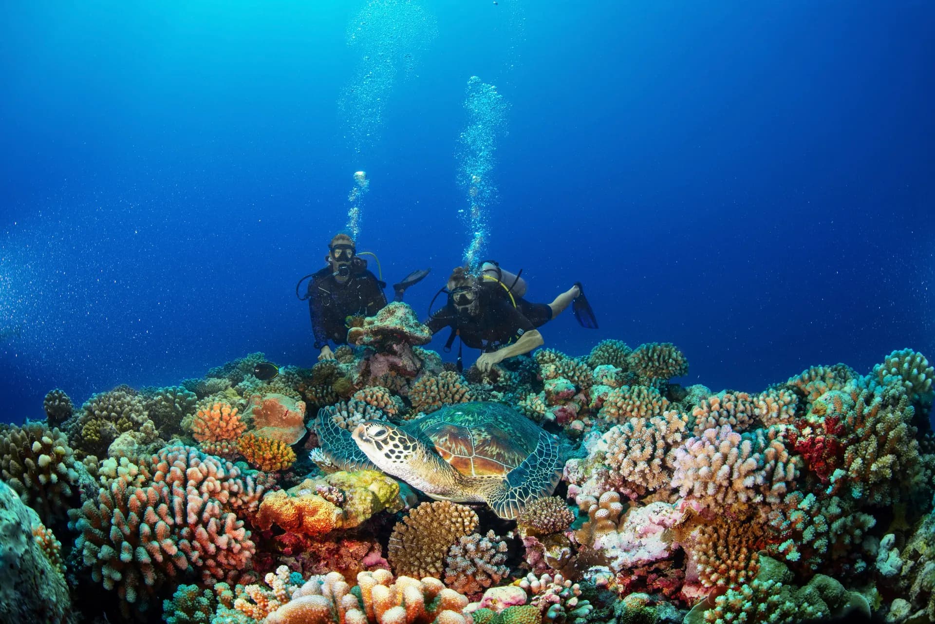 水肺潛水觀光 2