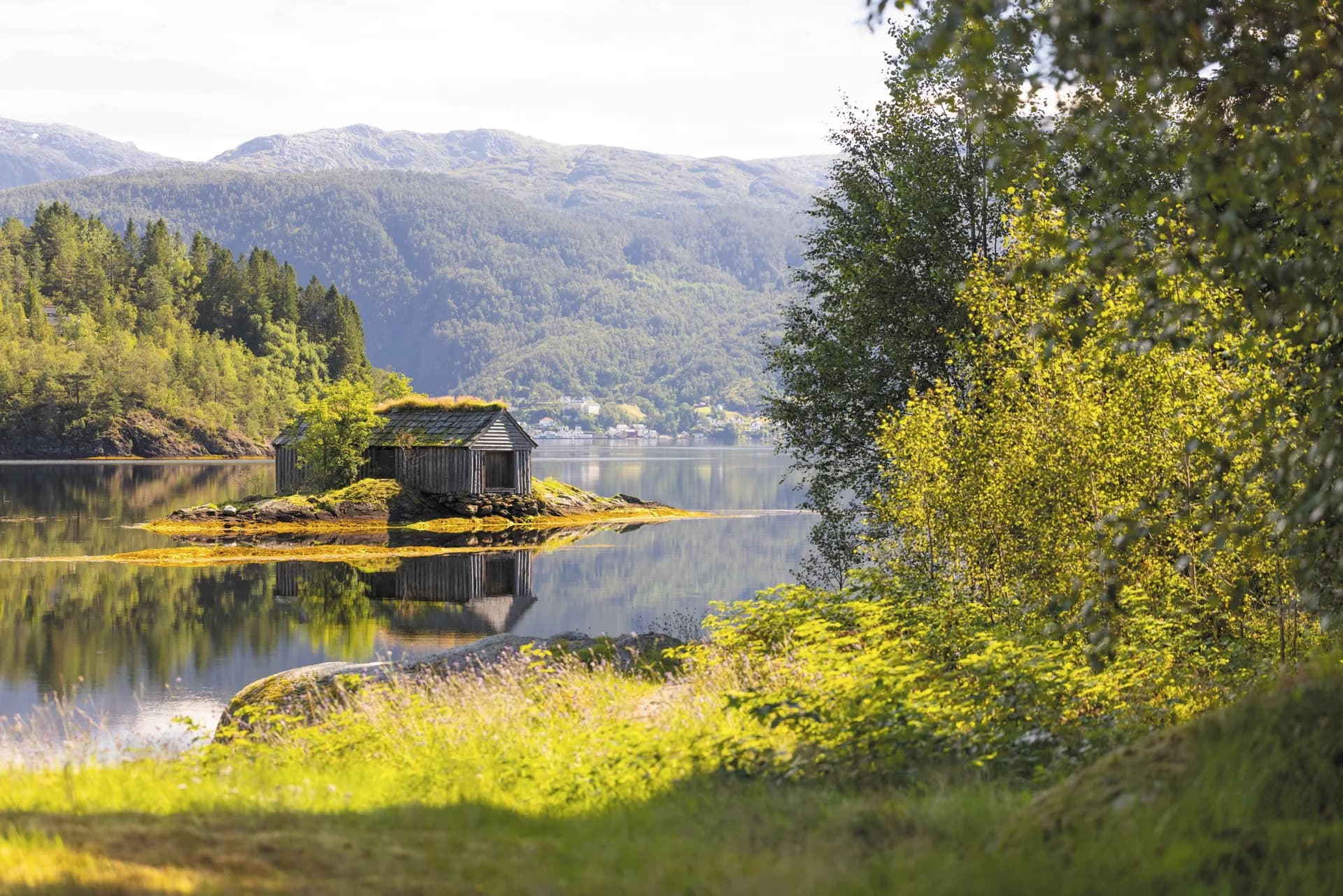 Regent Choice 岸上觀光 3