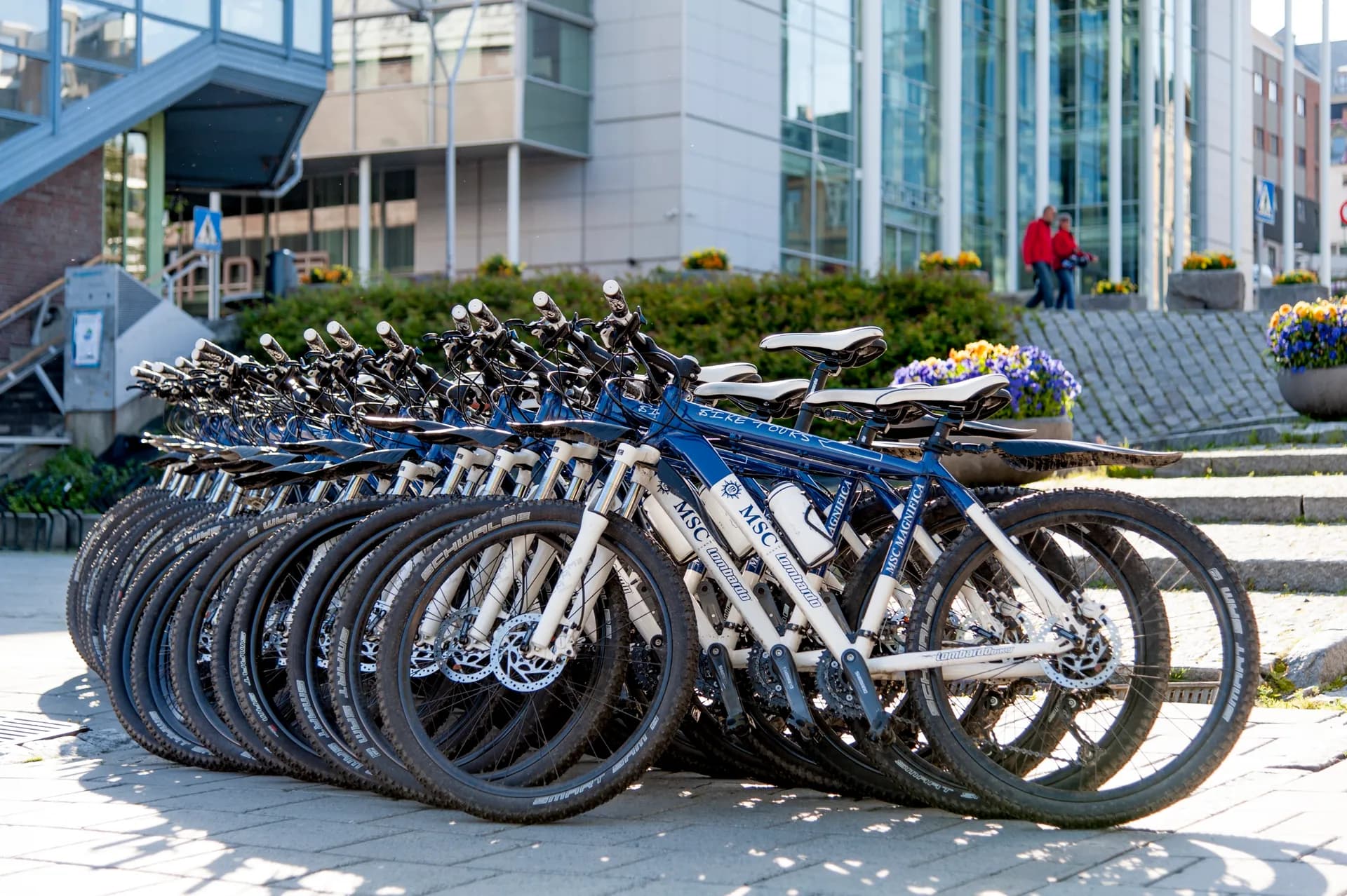 MSC 單車探險之旅 2