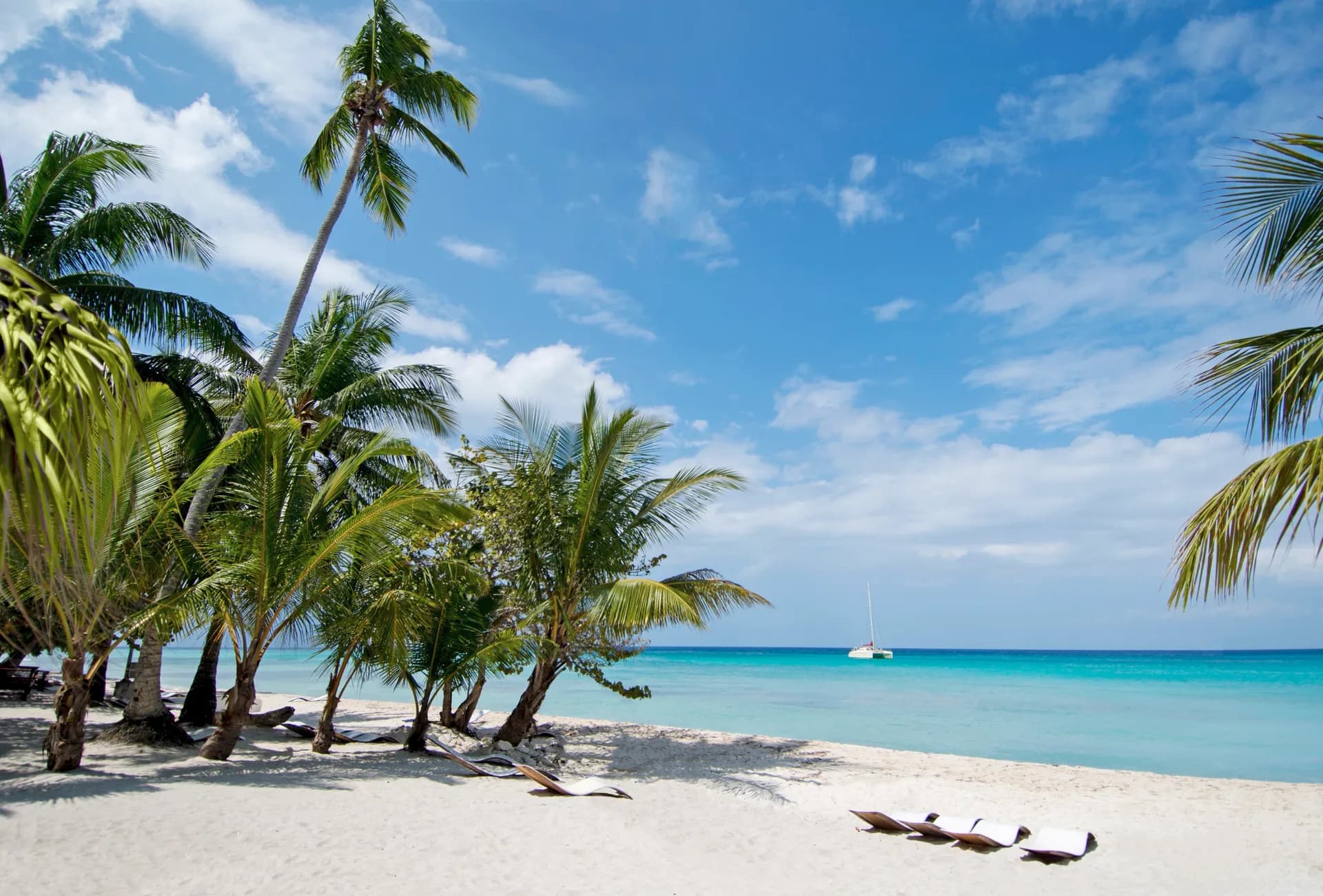 尊重我們造訪的地方:MSC Protectours 1