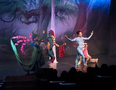 地中海和諧號 18