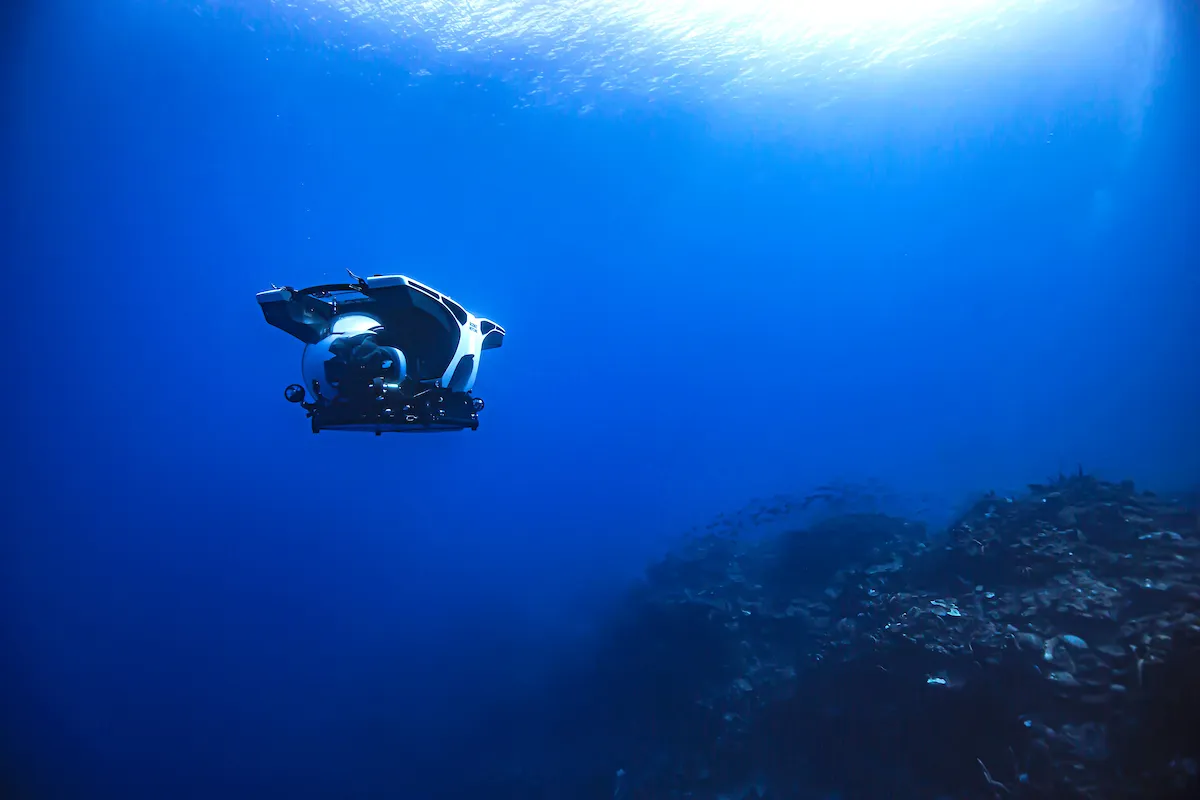 Бар Мохіто з цукрової тростини 2