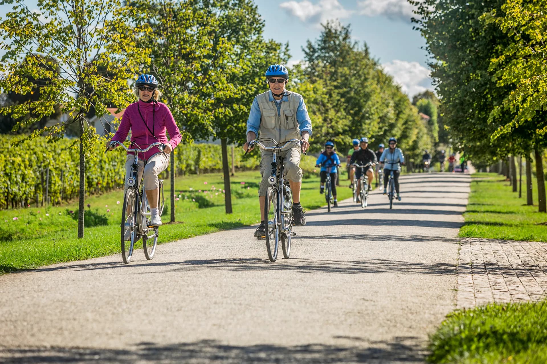 單車行程（含） 3