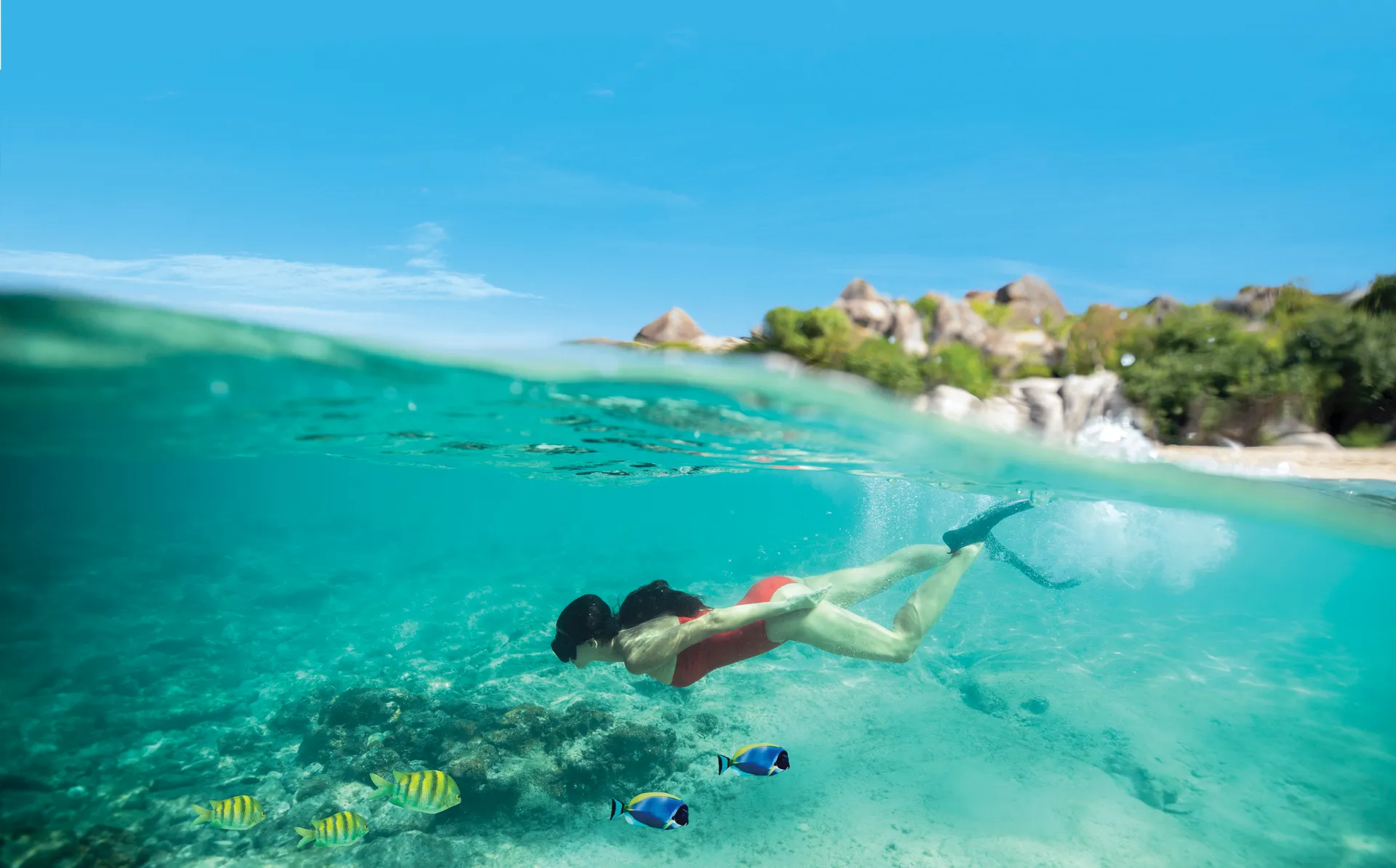 Sail & Sustain - Our Commitment