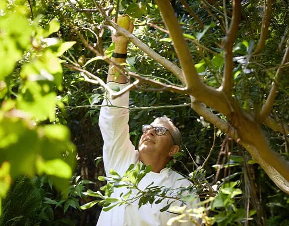 美食家工作室 2