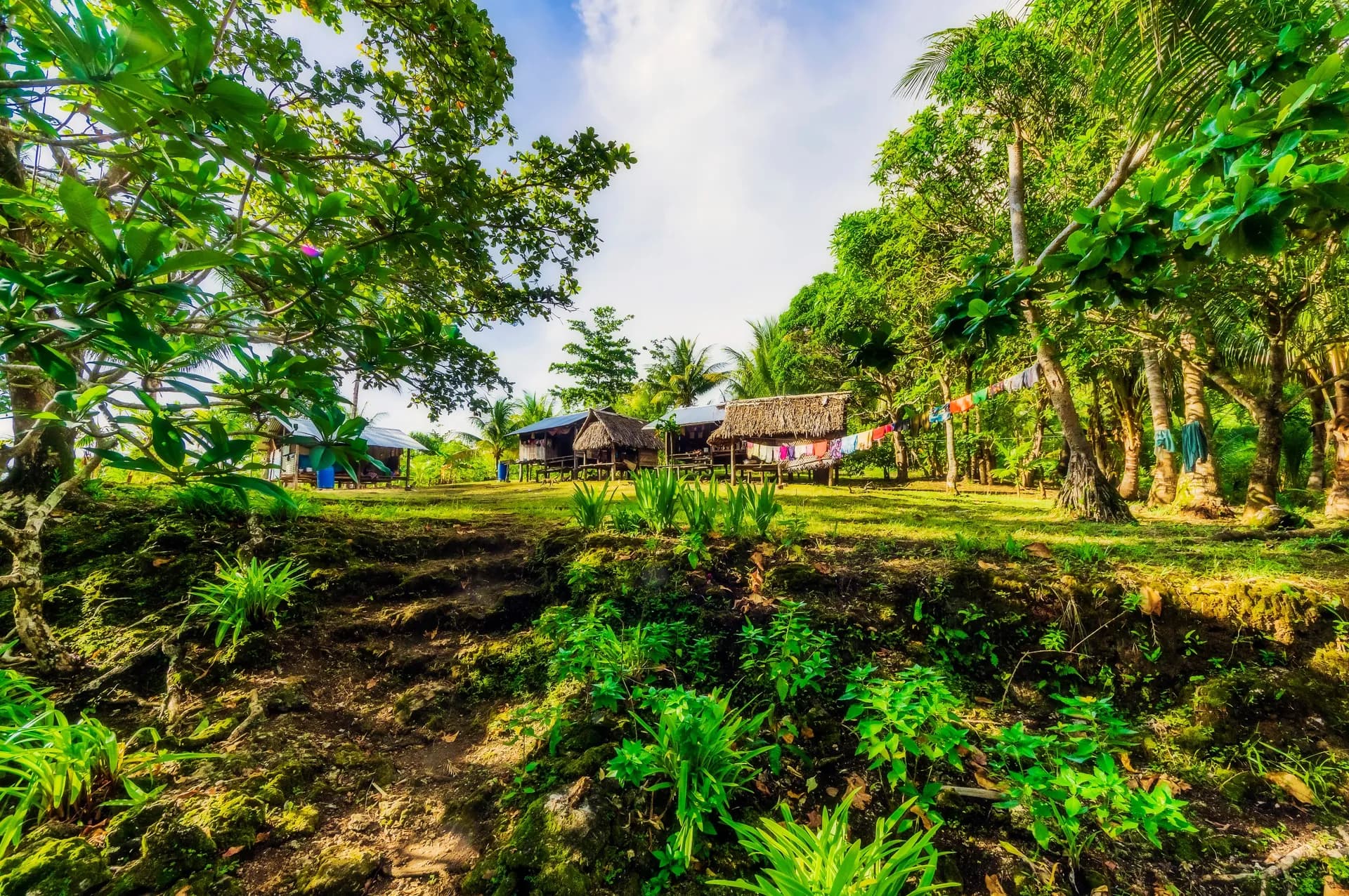 Shore Experiences By Seabourn 陸上體驗 1