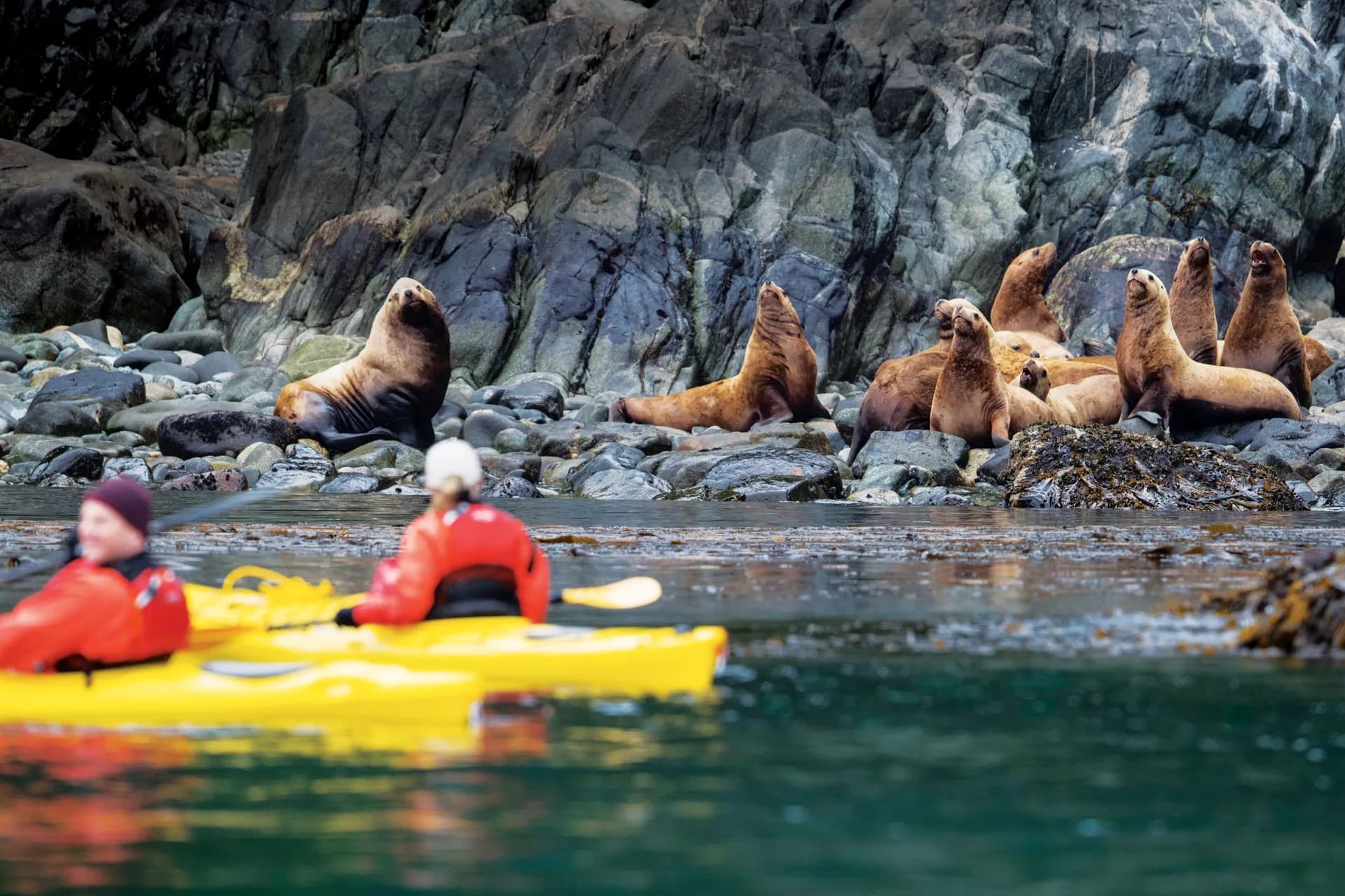 Ventures By Seabourn® 海上探險 3