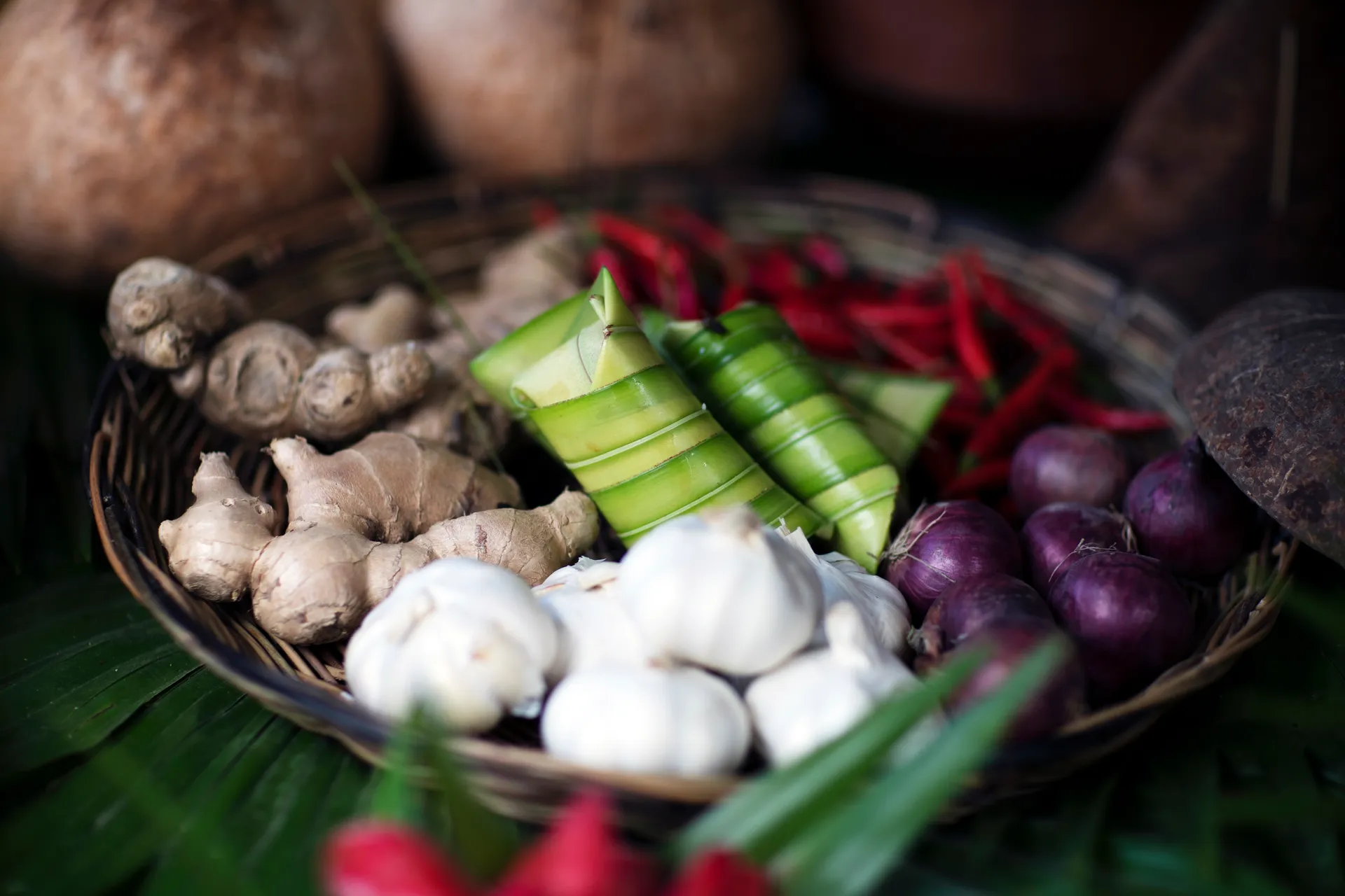 S.A.L.T. 陸上探險 2