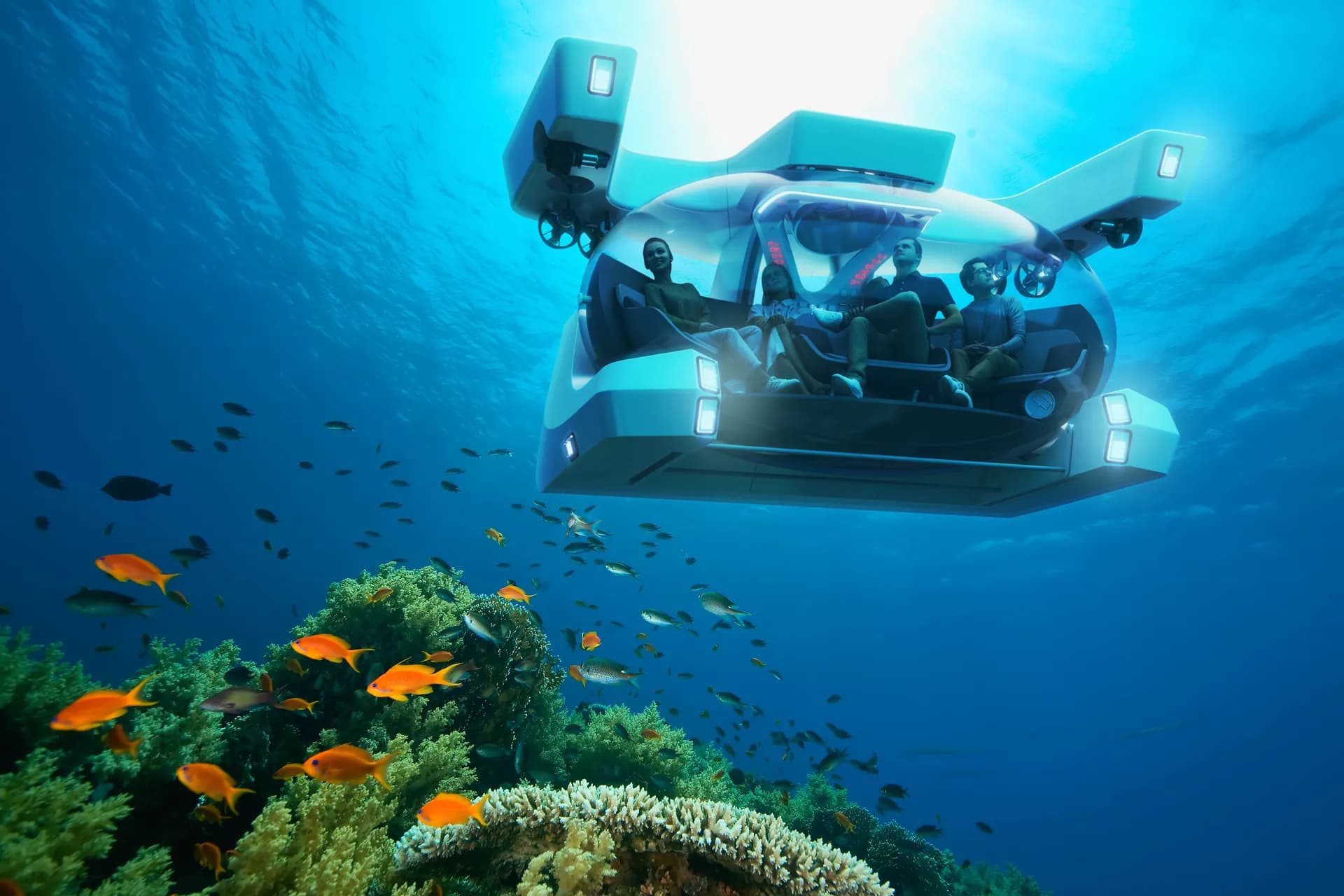 Scenic Neptune II 風景海王二號 1