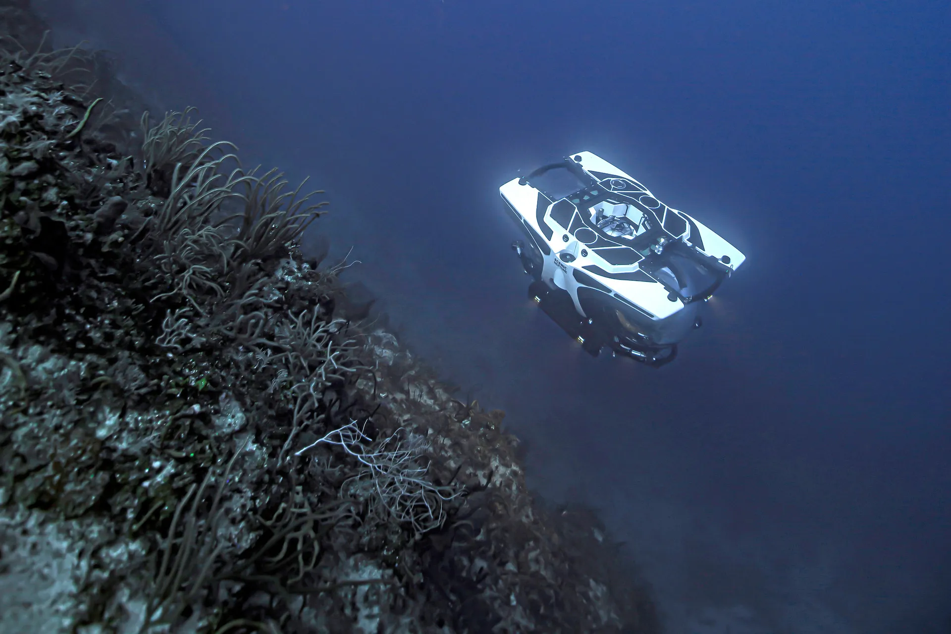 Scenic Neptune II 風景海王二號 4