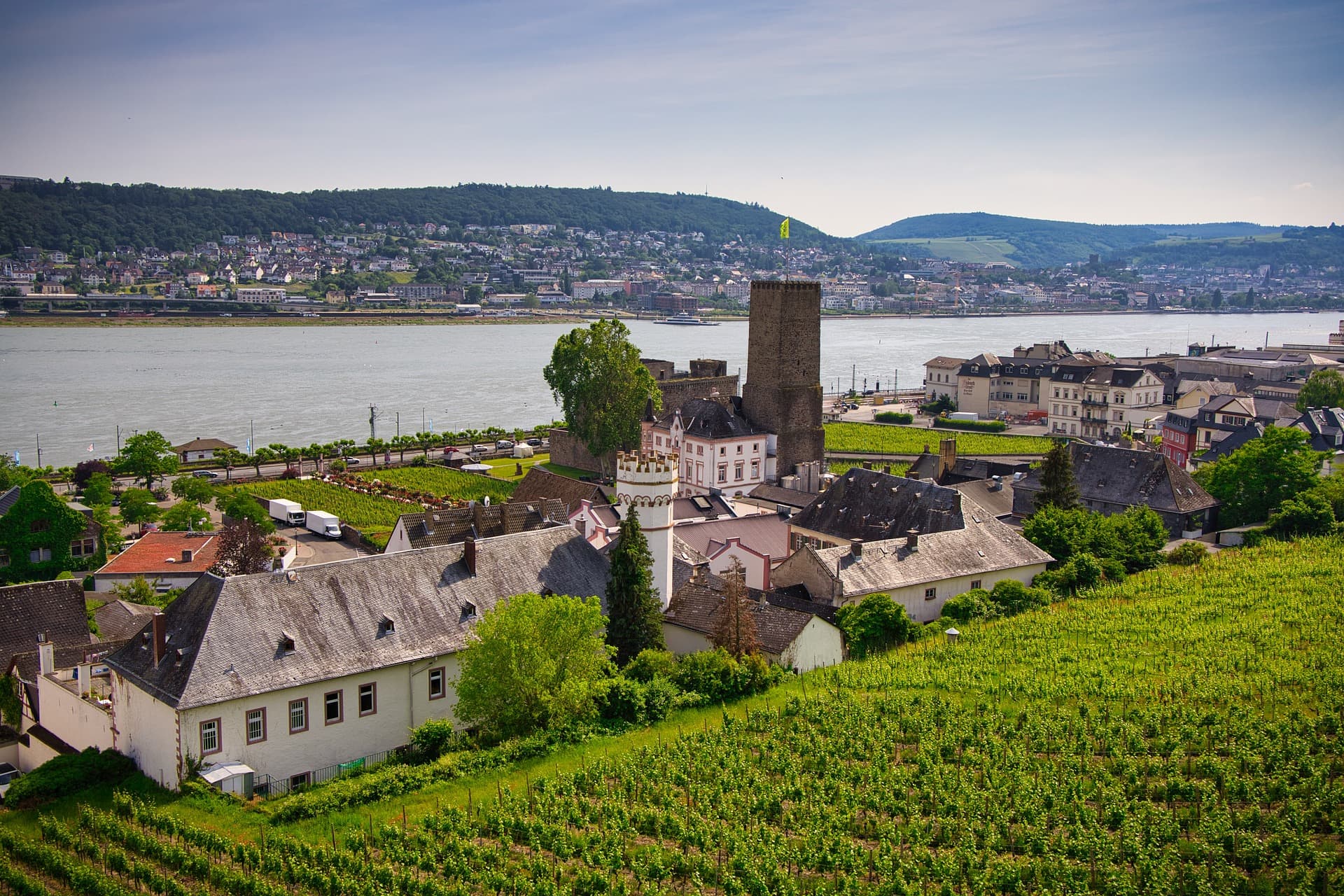 Rüdesheim 1