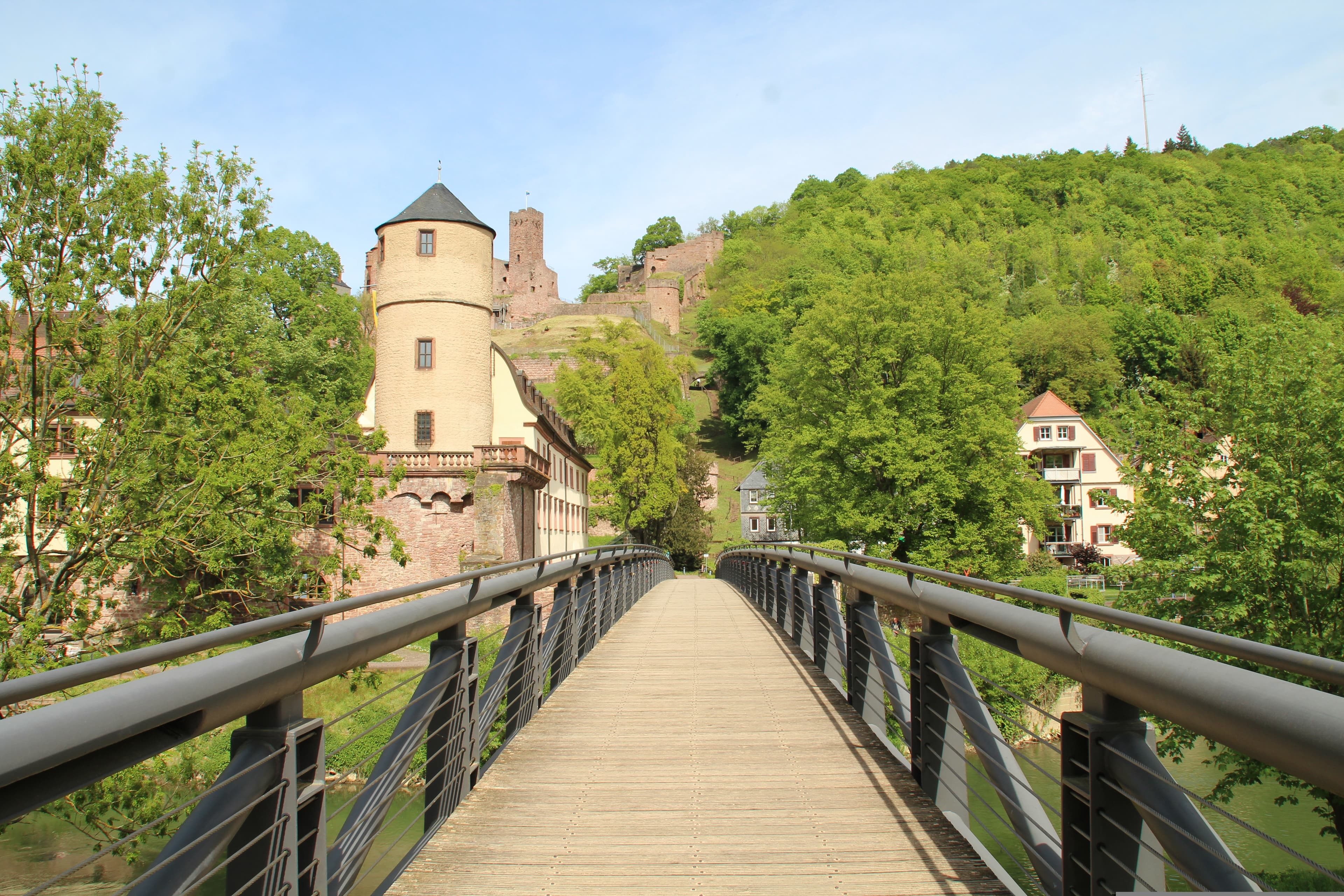 Wertheim 4