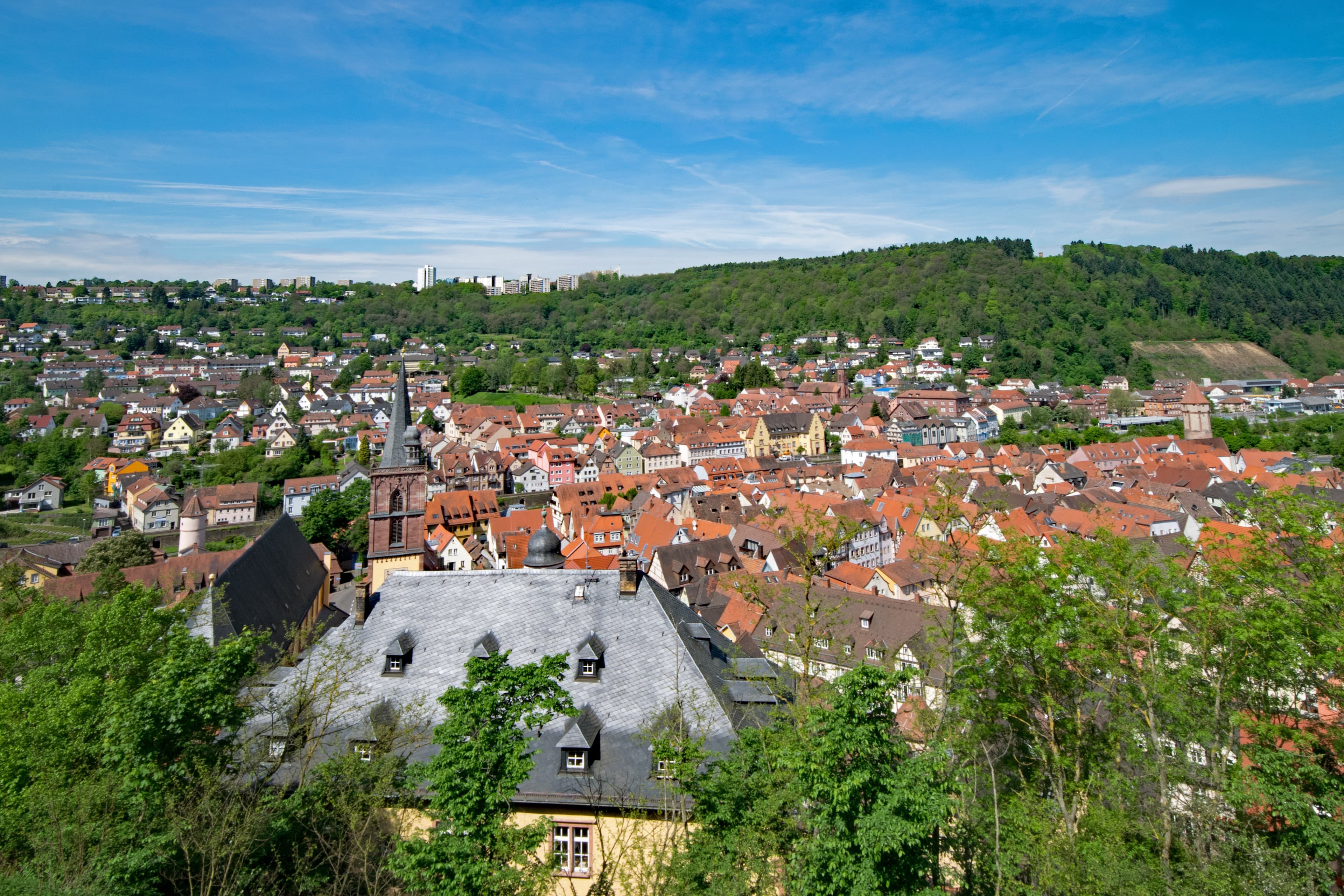 Wertheim 2