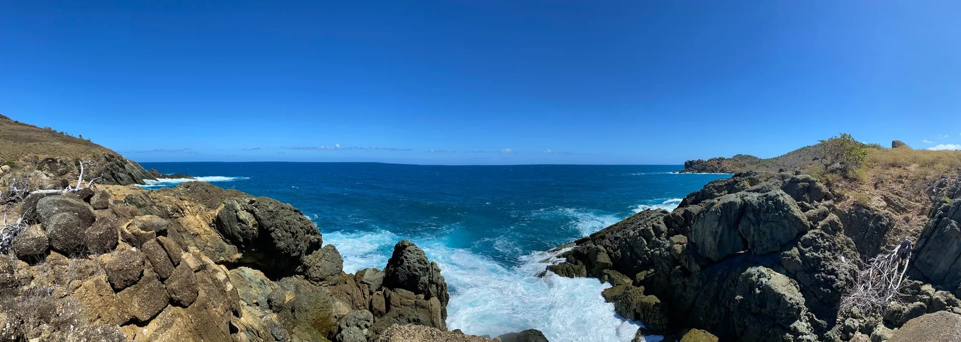 Жост Ван Дайк